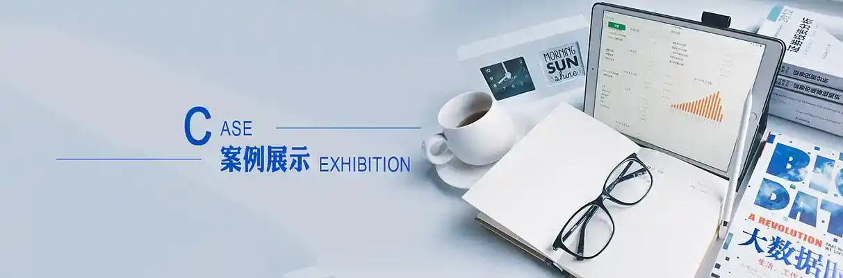 镇赉县软件开发